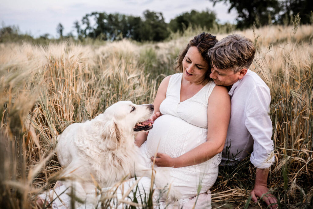 Schwangeres Paar sind im Kornfeld mit ihrem Hund, sie schauen zum Hund, Babybauchshooting