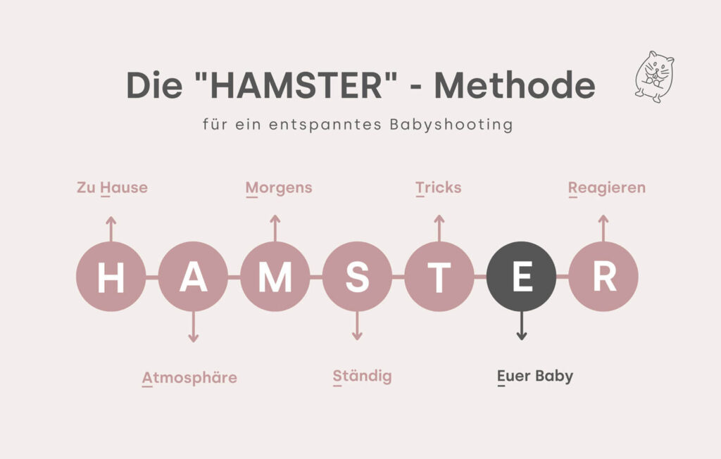 Grafische Darstellung der HAMSTER-Methode: 7 Maßnahmen, die dafür sorgen, dass das Babyshooting entspannt abläuft, Julia Schlenkrich Fotografie