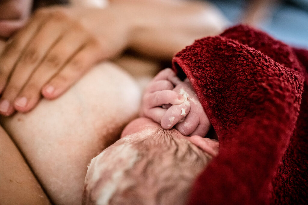 Nahaufnahme Hände eines gerade geborenen Babys, wird gerade gestillt, Baby zeigt noch etwas Käseschmiere, ist in einem roten Handtuch eingewickelt, Geburtsfotografie Die 16 häufigsten Fragen